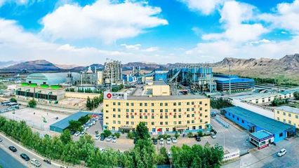 全國僅兩家電石企業(yè)獲這個國家級榮譽(yù) 東方希望烏海電石拿到了!