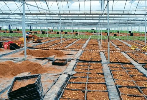 速讀市委十五屆二次全會暨全市經(jīng)濟(jì)工作會議報告