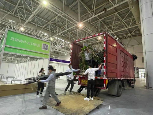 播種春天——第56屆全國工藝品交易會展前沖刺紀實