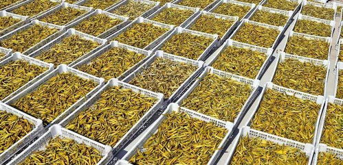 好消息 大荔三大特色產(chǎn)品被授予第十四屆全運會特許商品